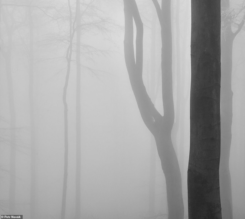 Những bức ảnh đen trắng theo phong cách tối giản đẹp nhất năm 2020