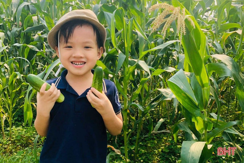 Ngày hội nông trại xanh” của các bé mầm non Trung Kiên