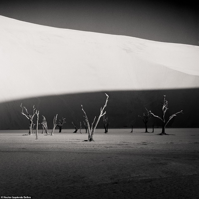 Những bức ảnh đen trắng theo phong cách tối giản đẹp nhất năm 2020