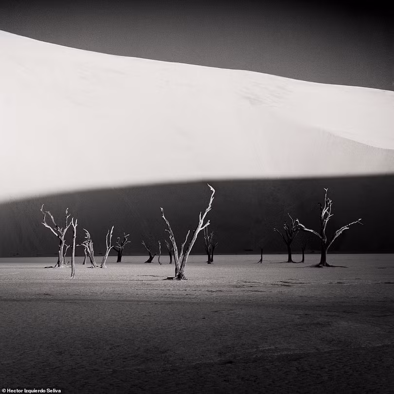 Những bức ảnh đen trắng theo phong cách tối giản đẹp nhất năm 2020