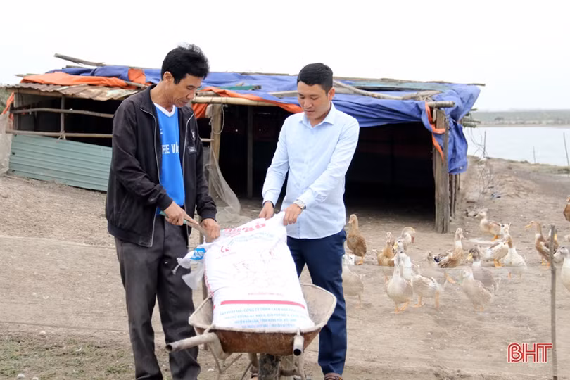 Hiệu quả bước đầu của mô hình nuôi vịt biển ở TX Kỳ Anh