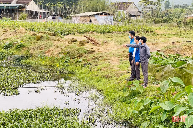 Chàng thanh niên Hà Tĩnh thôi lao động ở nước ngoài về quê nuôi ốc nhồi 