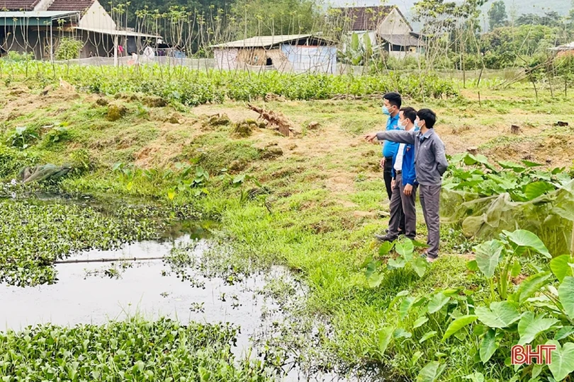 Chàng thanh niên Hà Tĩnh thôi lao động ở nước ngoài về quê nuôi ốc nhồi 