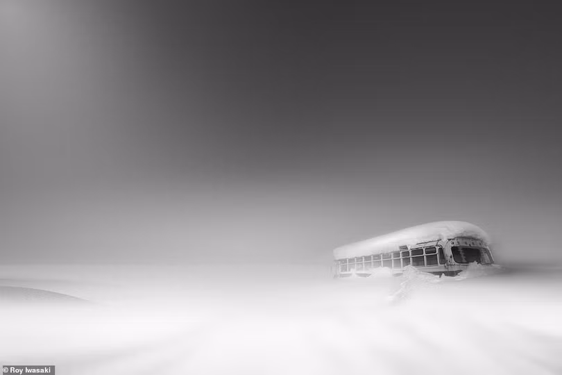 Những bức ảnh đen trắng theo phong cách tối giản đẹp nhất năm 2020