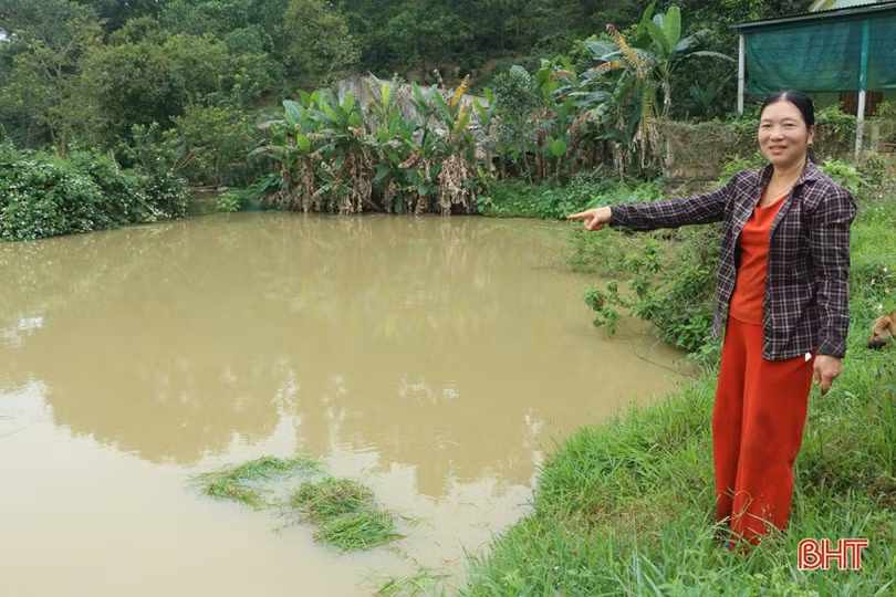 Vợ chồng nông dân miền núi Hà Tĩnh thay đổi cuộc sống nhờ đồi hoang