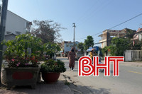 Người đi bộ… "mất" lối đi vì cây cảnh