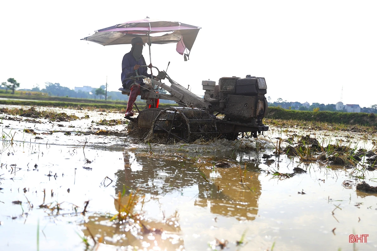 Nông dân Hà Tĩnh chạy đua với lịch gieo cấy hè thu