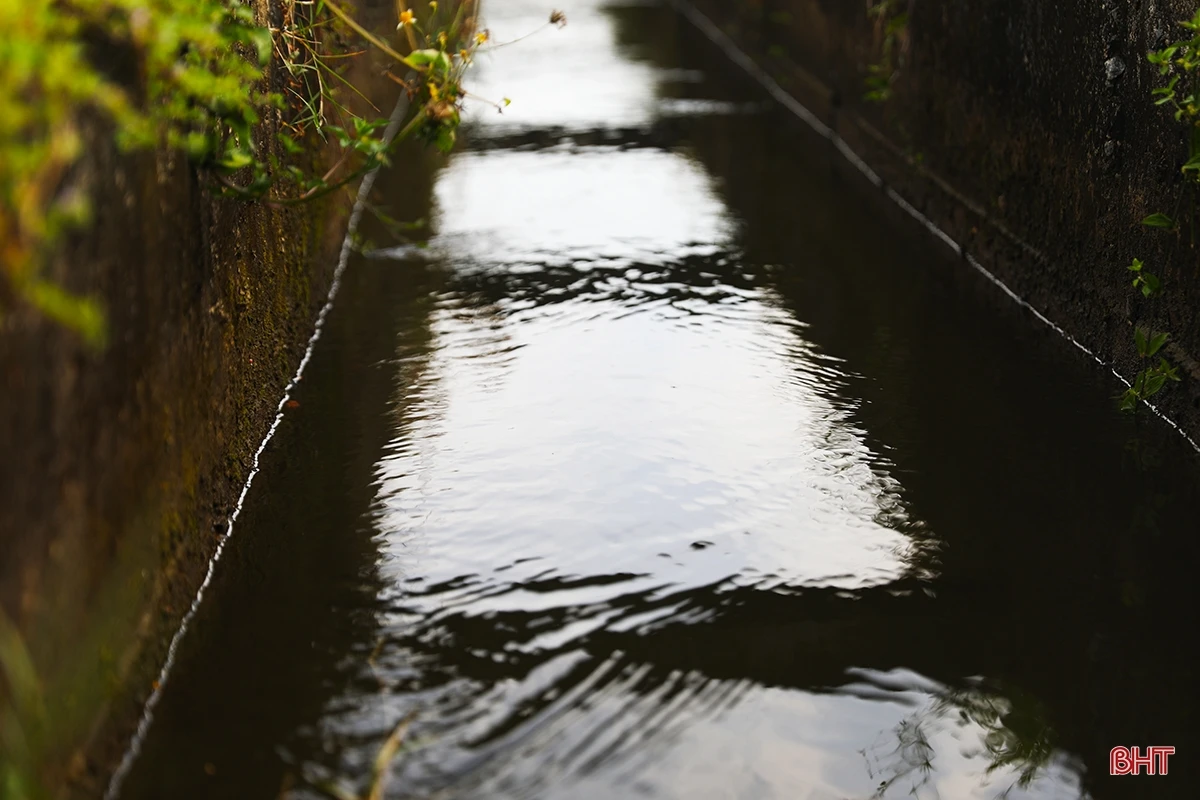Nông dân Hà Tĩnh chạy đua với lịch gieo cấy hè thu