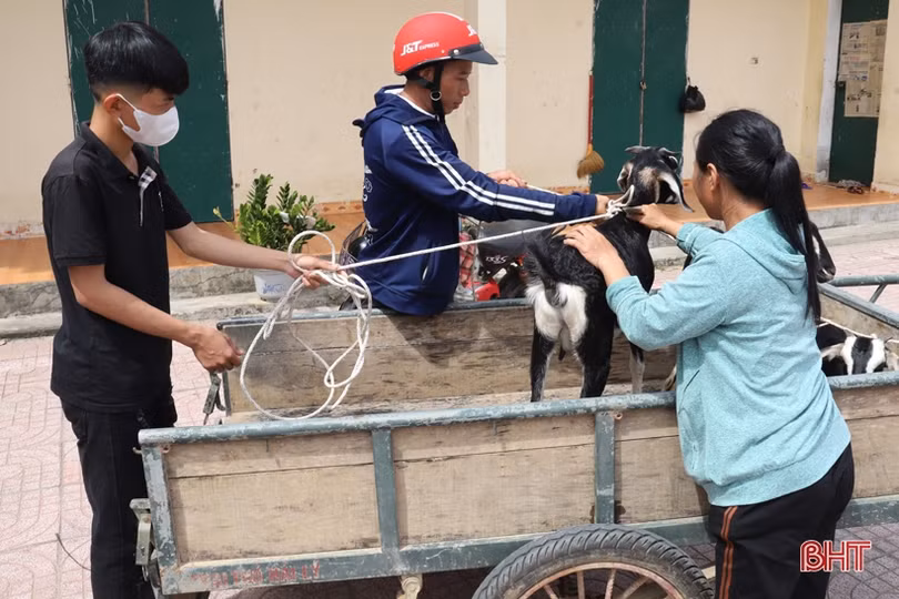 Trao mô hình sinh kế cho người dân khó khăn ở Hương Sơn
