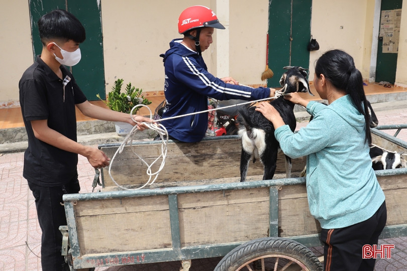 Trao mô hình sinh kế cho người dân khó khăn ở Hương Sơn