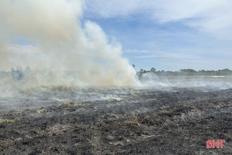 Huy động hàng trăm người chữa cháy rừng phòng hộ ở Cẩm Xuyên