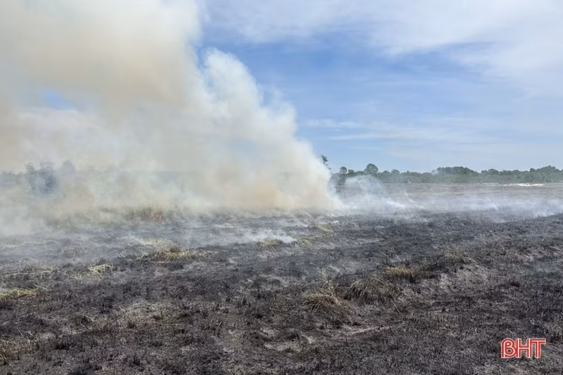 Huy động hàng trăm người chữa cháy rừng phòng hộ ở Cẩm Xuyên