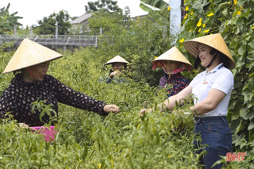 Dấu ấn các nữ thủ lĩnh” trong phong trào xây dựng nông thôn mới