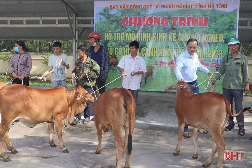 Trao mô hình sinh kế cho gia đình khó khăn ở Vũ Quang