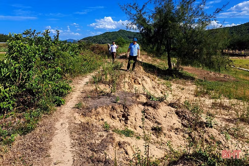 Nỗi lo mất an toàn tuyến đê ngăn mặn ở Nghi Xuân