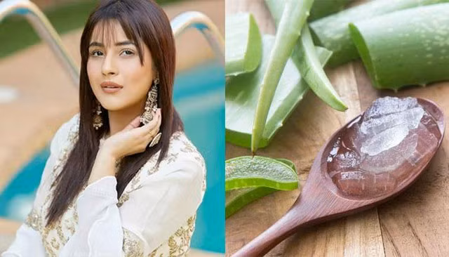 7 nguyên liệu sẵn có trong bếp ngăn ngừa rụng tóc mùa thu