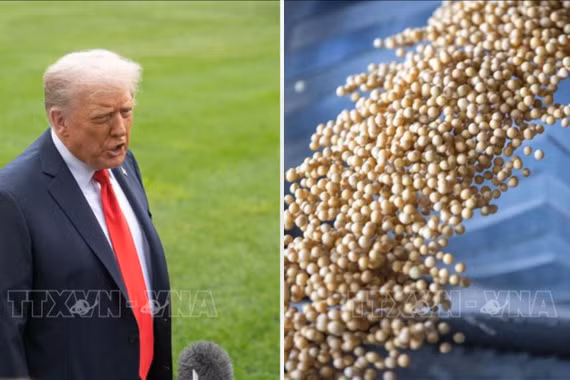 Tổng thống Trump tuyên bố Iran sẽ mua nông sản Mỹ