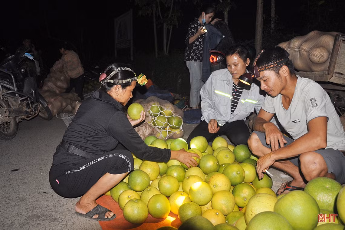 Hương Khê mùa bưởi chín...
