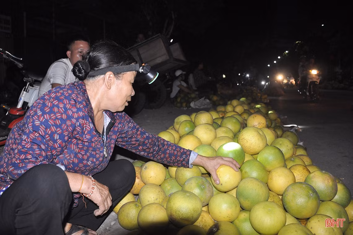 Hương Khê mùa bưởi chín...