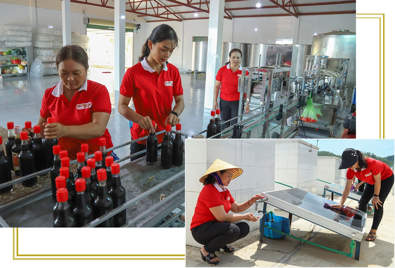 Chương trình OCOP - “đòn bẩy” phát triển kinh tế nông thôn (bài 1): “Làn gió mới” trong phát triển nông nghiệp