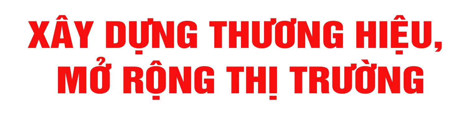 Chương trình OCOP - “đòn bẩy” phát triển kinh tế nông thôn (bài 1): “Làn gió mới” trong phát triển nông nghiệp