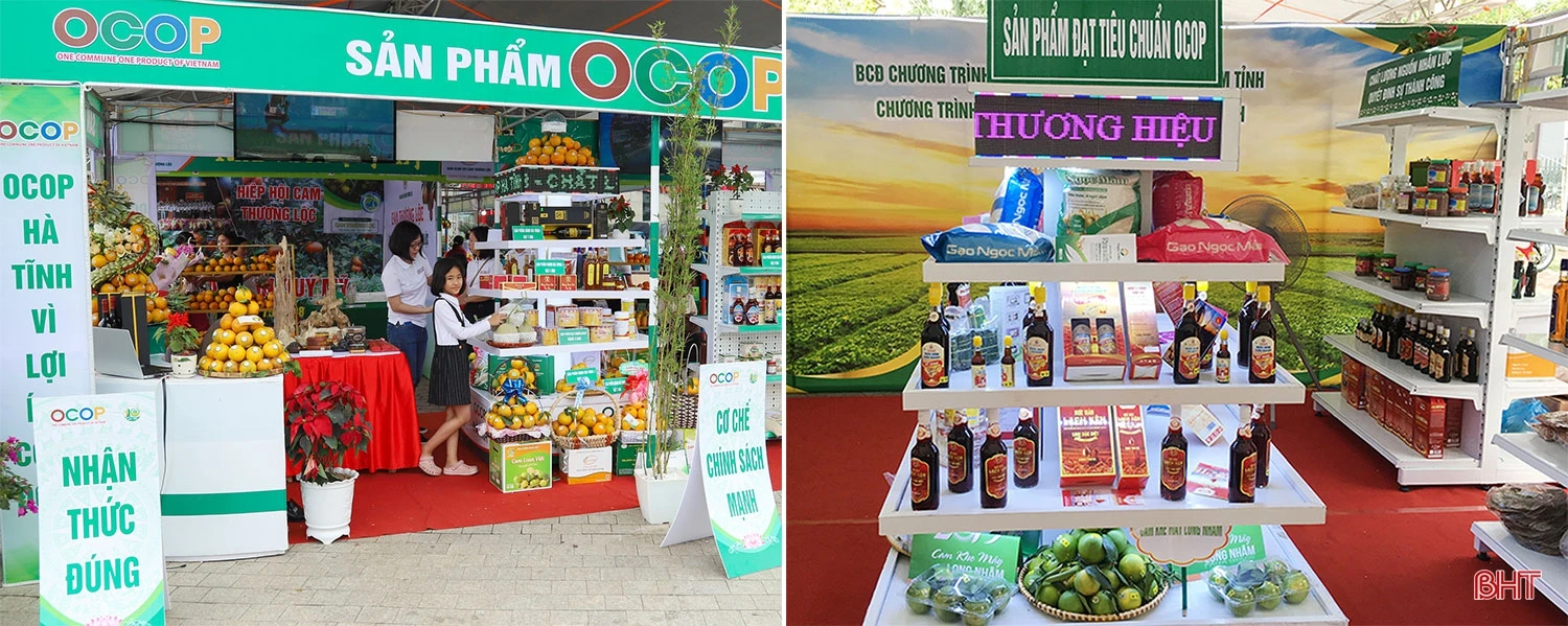 Chương trình OCOP - “đòn bẩy” phát triển kinh tế nông thôn (bài 1): “Làn gió mới” trong phát triển nông nghiệp