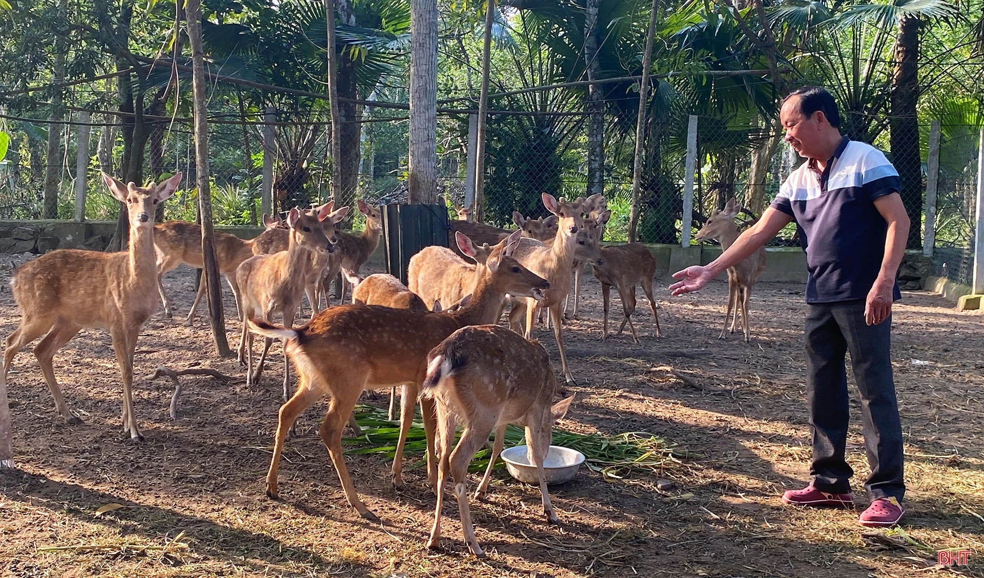 Chương trình OCOP - “đòn bẩy” phát triển kinh tế nông thôn (bài 1): “Làn gió mới” trong phát triển nông nghiệp