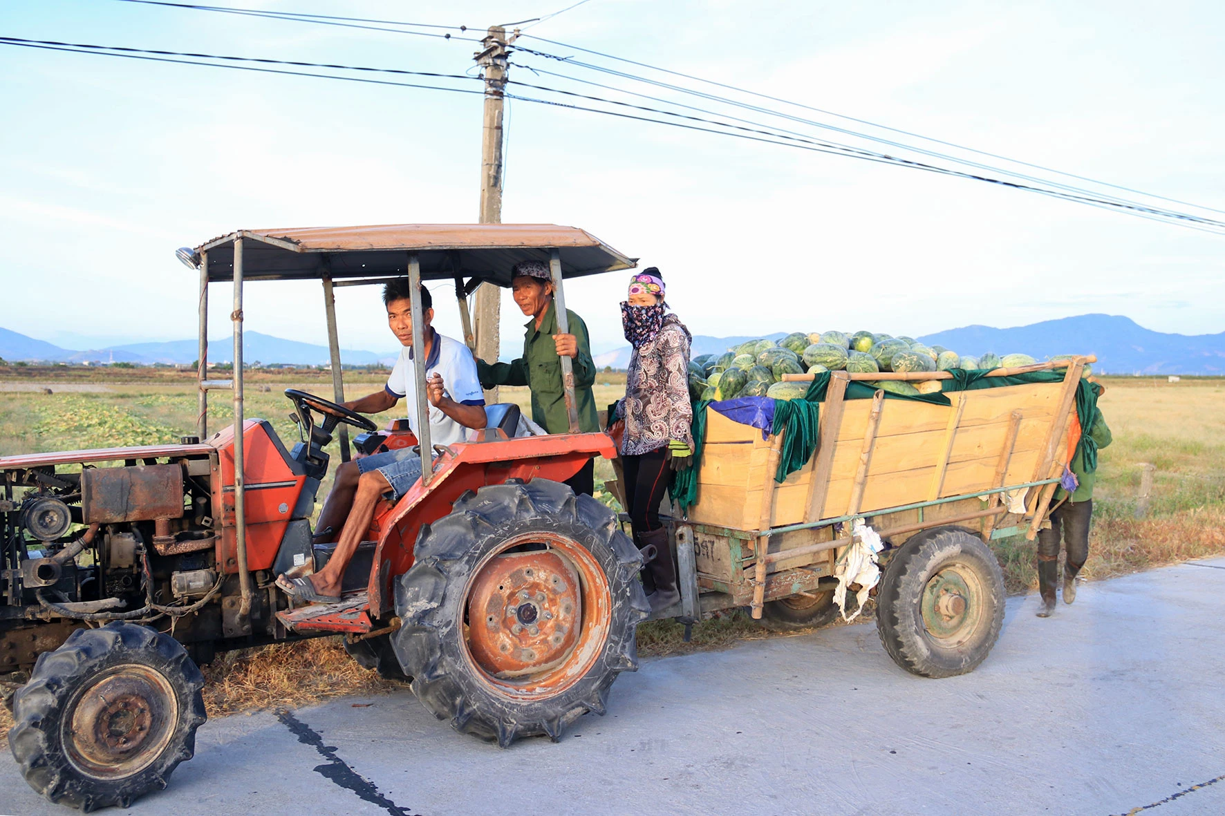 Người “đánh thức” vùng đất cát bạc màu ở Hà Tĩnh