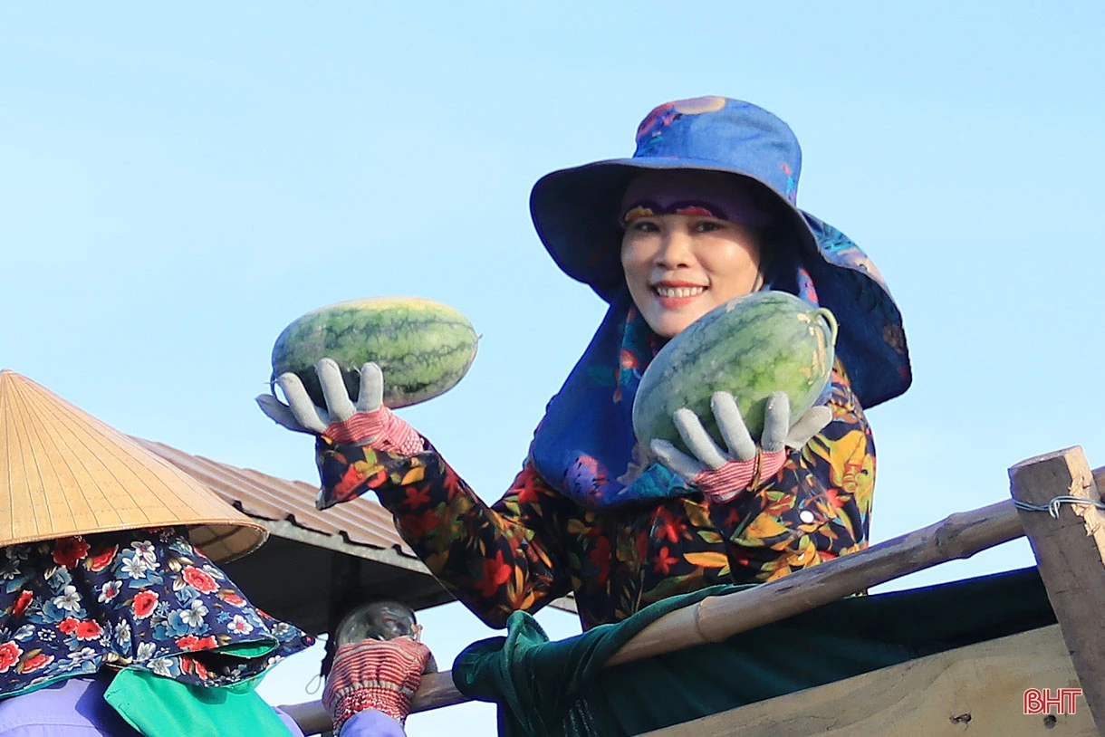 Người “đánh thức” vùng đất cát bạc màu ở Hà Tĩnh