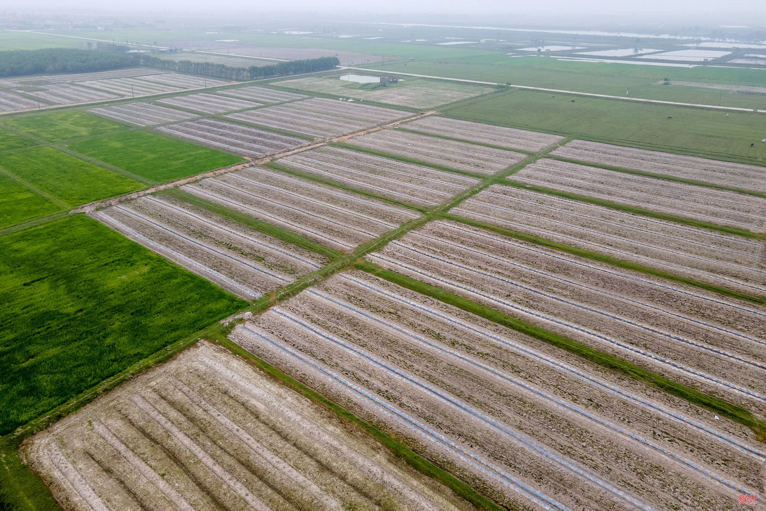 Người “đánh thức” vùng đất cát bạc màu ở Hà Tĩnh