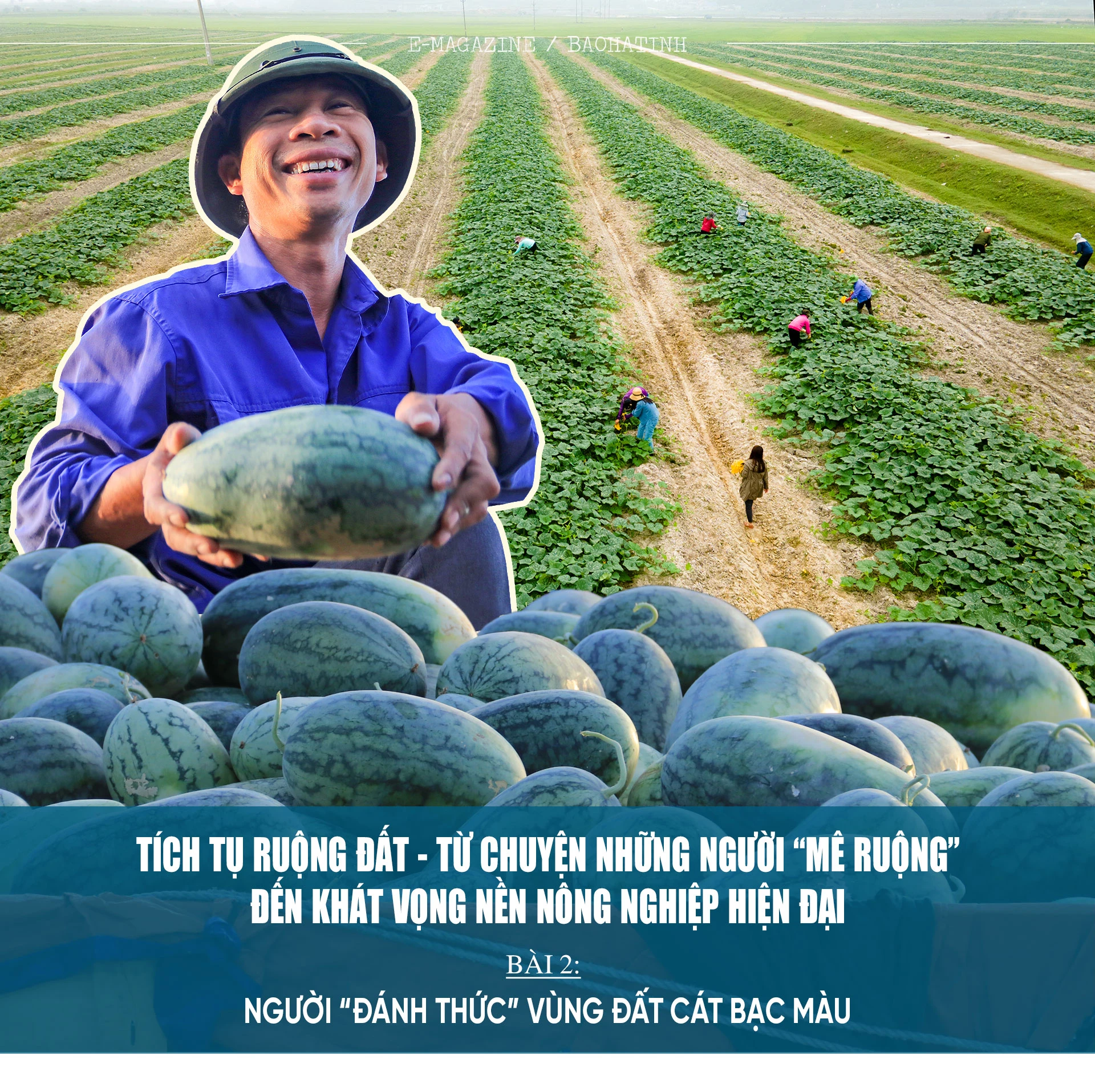 Người “đánh thức” vùng đất cát bạc màu ở Hà Tĩnh