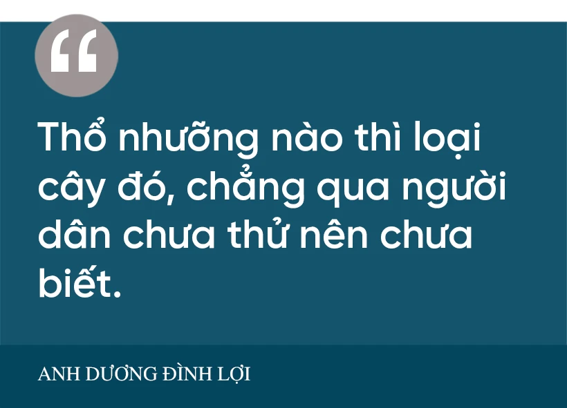 Người “đánh thức” vùng đất cát bạc màu ở Hà Tĩnh