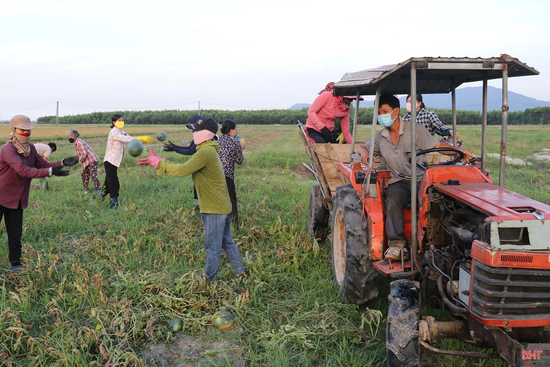 Người “đánh thức” vùng đất cát bạc màu ở Hà Tĩnh