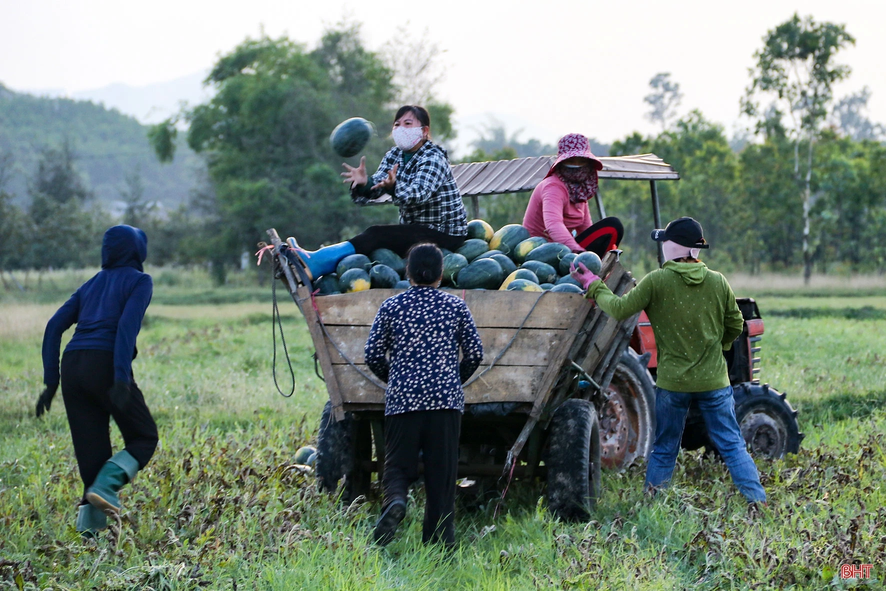 Người “đánh thức” vùng đất cát bạc màu ở Hà Tĩnh