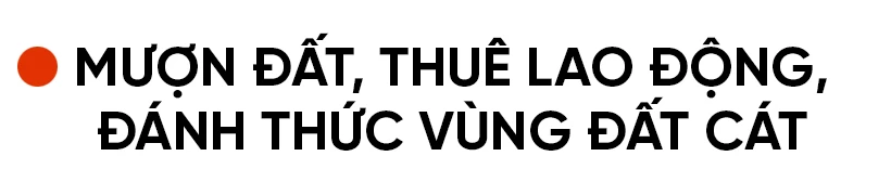 Người “đánh thức” vùng đất cát bạc màu ở Hà Tĩnh