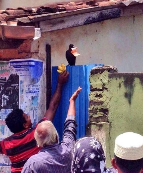 Những ảnh hài hot nhất Facebook trong ngày