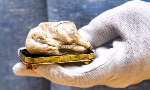 Thế giới ngày qua: Thủ tướng Tây Ban Nha mất chức