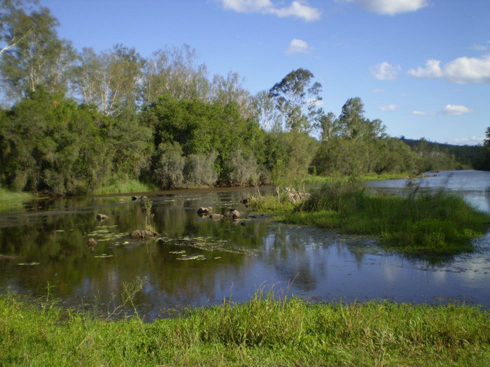 15 loài sinh vật phổ biến đang bị đe dọa tuyệt chủng - Ảnh 11. 15 loài sinh vật phổ biến đang bị đe dọa tuyệt chủng