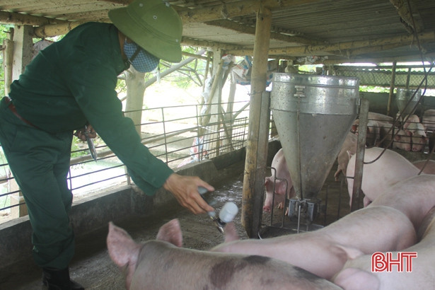 Hết hạn gần nửa tháng, tỷ lệ gia súc, gia cầm tiêm phòng còn thấp