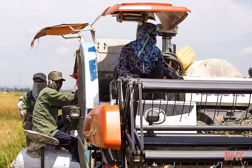 Lao động Hà Tĩnh nhọc nhằn mưu sinh dưới nắng đổ lửa