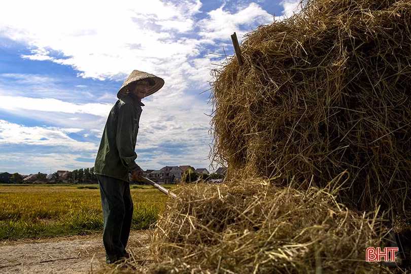 Lao động Hà Tĩnh nhọc nhằn mưu sinh dưới nắng đổ lửa