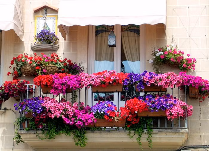 Bất ngờ khu vườn cổ tích 1m2 đẹp như mơ cho nhà nhỏ