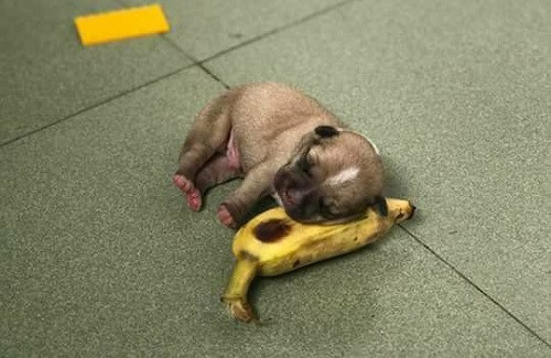 Những ảnh hài hot nhất Facebook trong ngày