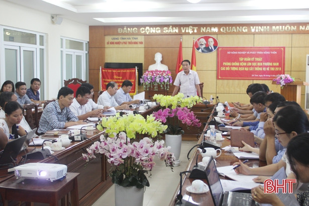 Chủ động phòng trừ bệnh lùn sọc đen phương Nam gây hại lúa