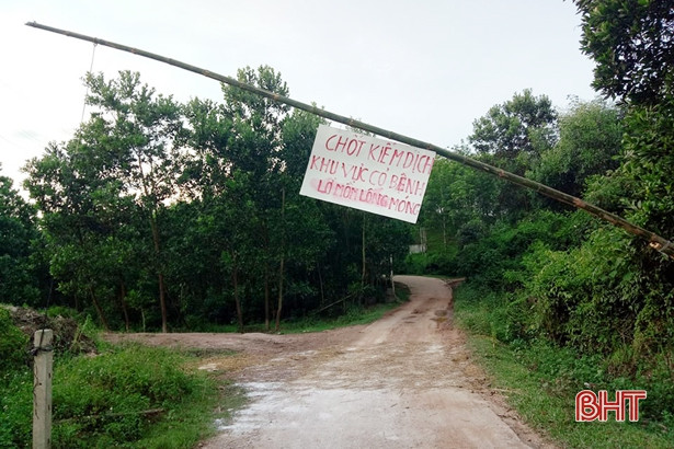 Hương Khê: Trên 100 con bò dính bệnh lở mồm long móng