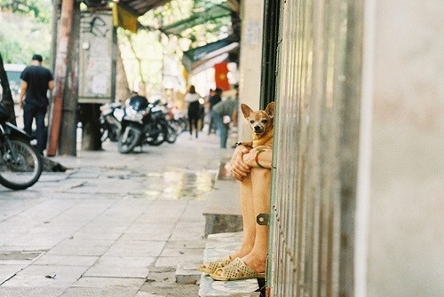 Những ảnh hài hot nhất Facebook trong ngày