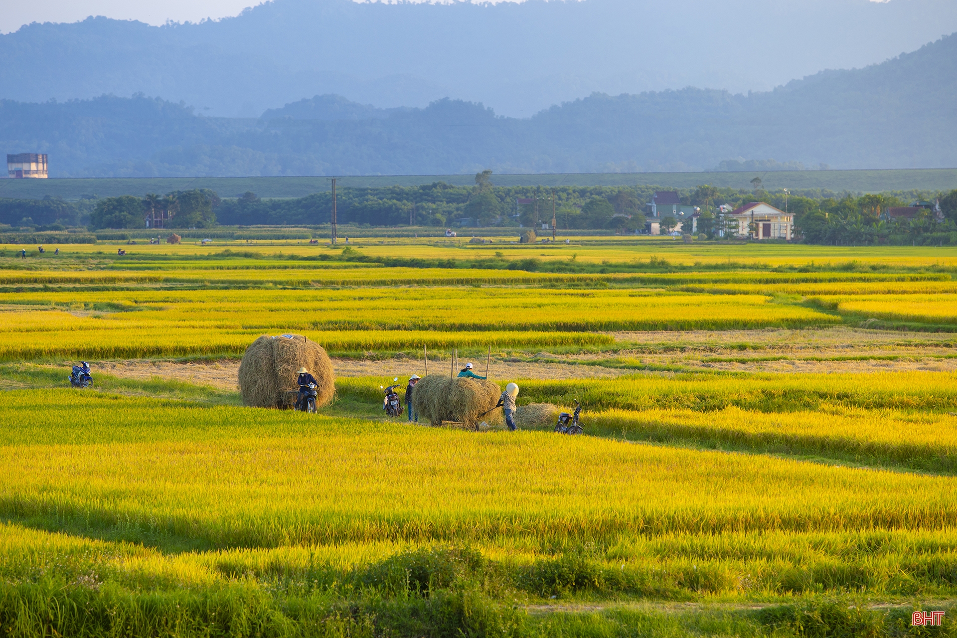 Mùa vui trên ruộng đồng Hà Tĩnh