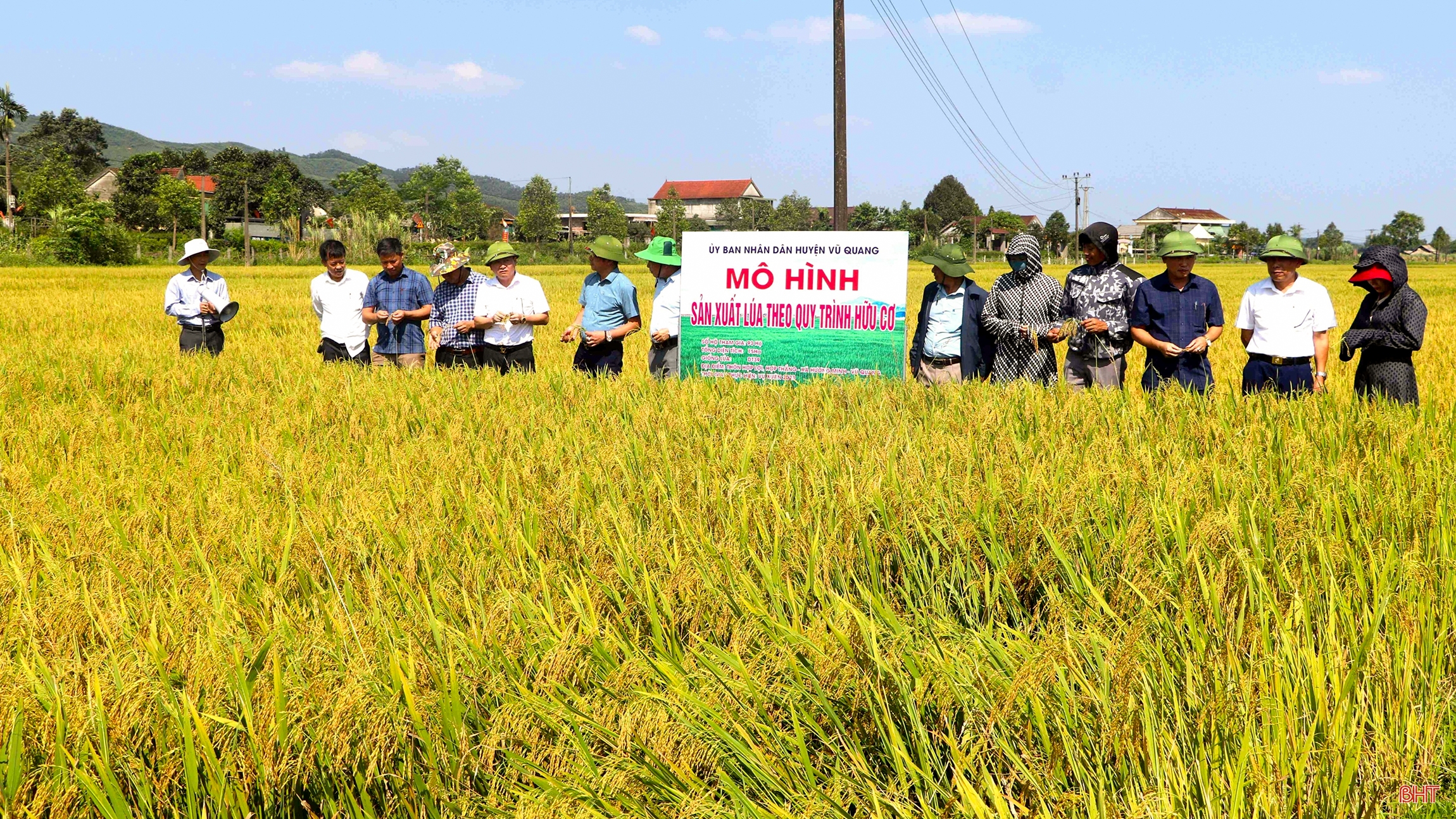 Mùa vui trên ruộng đồng Hà Tĩnh