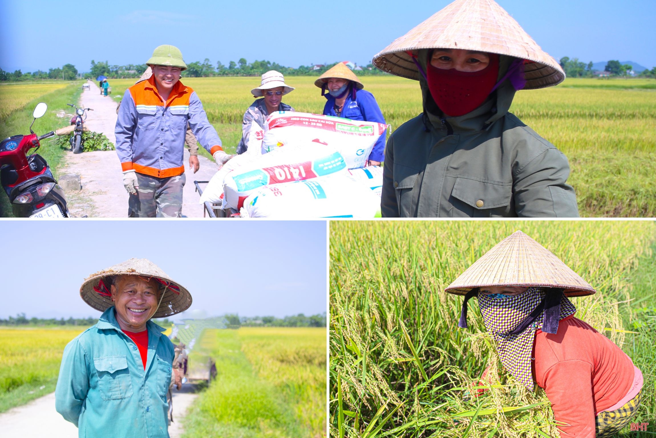Mùa vui trên ruộng đồng Hà Tĩnh