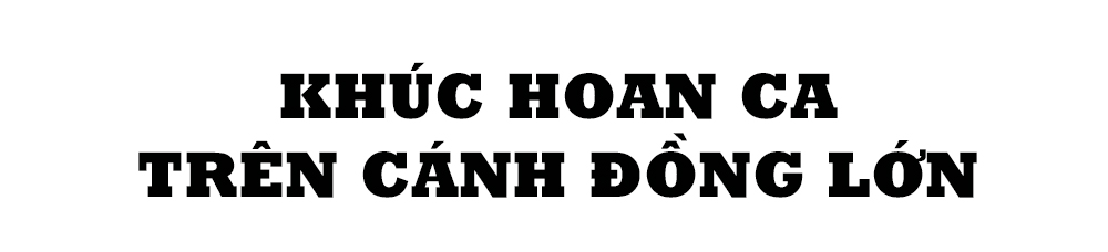 Mùa vui trên ruộng đồng Hà Tĩnh